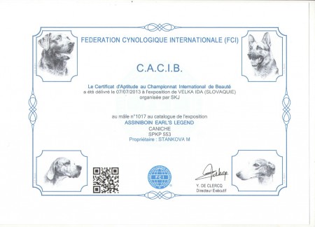 CACIB 7.7.2013 SK